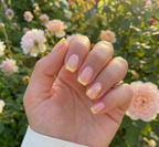 French Yellow